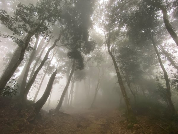 西巒大山。二訪獨享之未完待續1501073