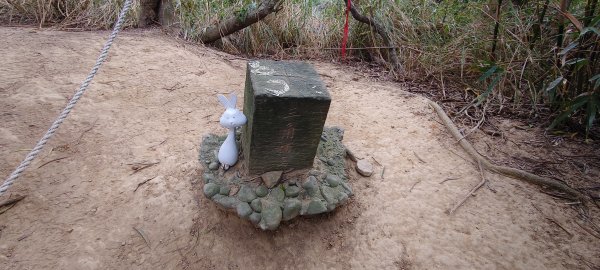 2025/12/21_口山古道O型2968548