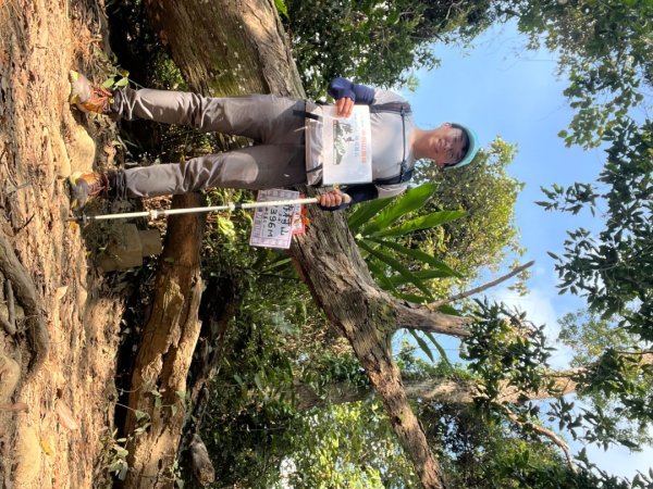 20231102_關西赤柯山（森遊竹縣）2762958