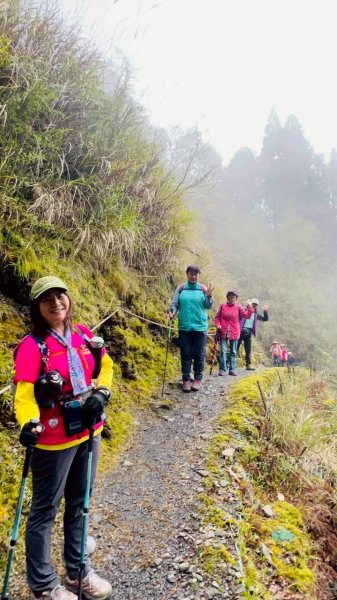 🌈3/28（六）觀霧檜山巨山步道×瀑布步道✨FB：熊熊趴爬走🌈3025252