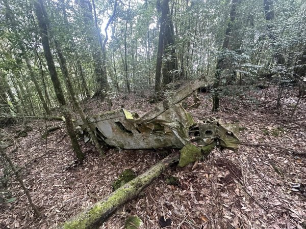 稍來山 飛機殘骸 c119 31942321042