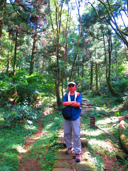 夏觀碧草如茵：頂山石梯嶺步道648272