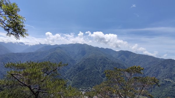 防疫二級東卯山（東南稜上/松鶴捷徑下）O環/有亮點：石觀音1430838