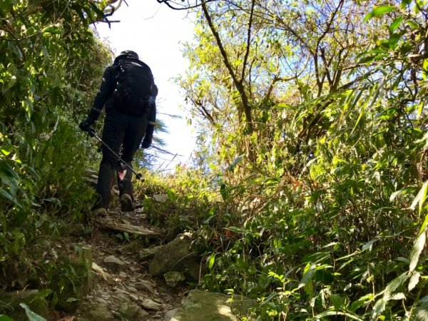 鱈葉根山登山步道524719