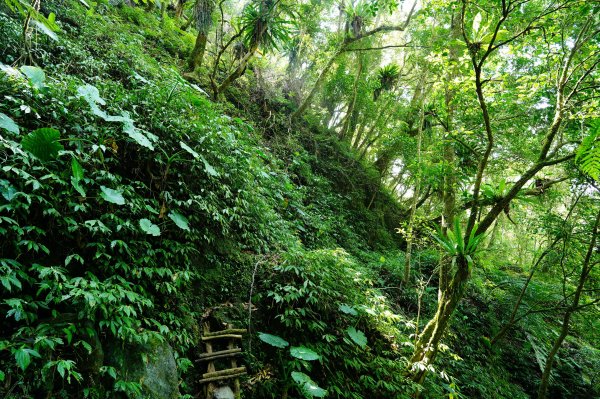 新北 烏來 波露南山3036010