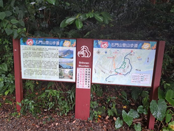 桃園石門山步道3111718