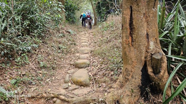20260127三通嶺山.三義山(大桁茂山).慈濟山.大坪山大O走2989954