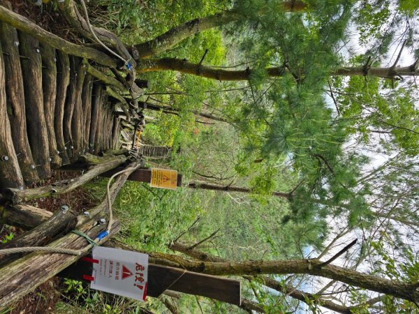 台中大坑4號登山步道2751097