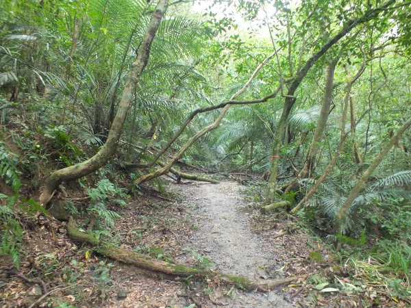 百二階古道+苕谷瀑布+逸仙山+泰和樓2734455