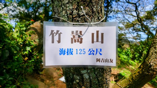 《蝶戀花。酸藤一生》2723363