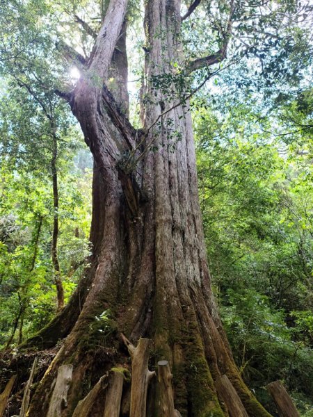 司馬褲濕!!啦1027035