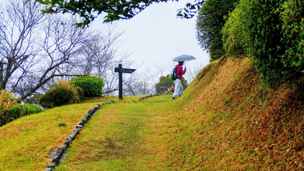 宮崎青島,母智丘,桷志田,櫻島,渡輪3027899