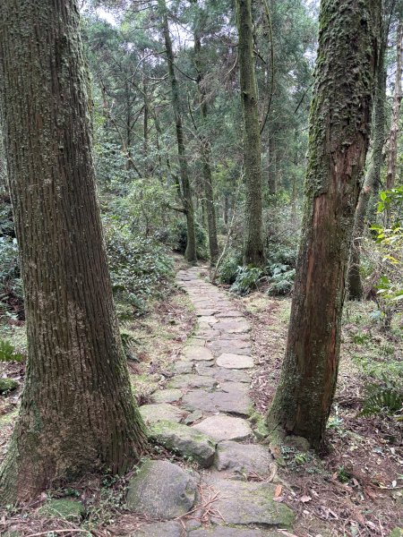 陽明山東西大縱走-東段2984520
