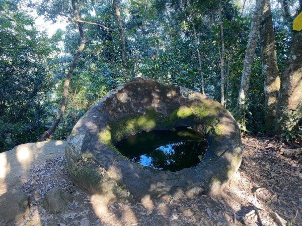 桃園大溪-打鐵寮古道-白石山2612650