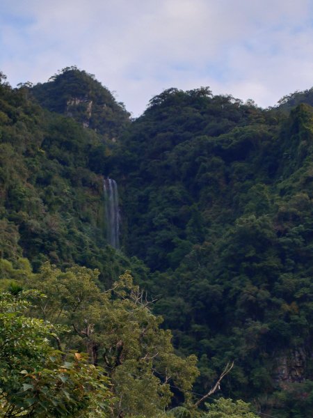 朝聖抹茶山2949475