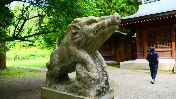 南九州－和氣神社,犬飼瀑布3064009