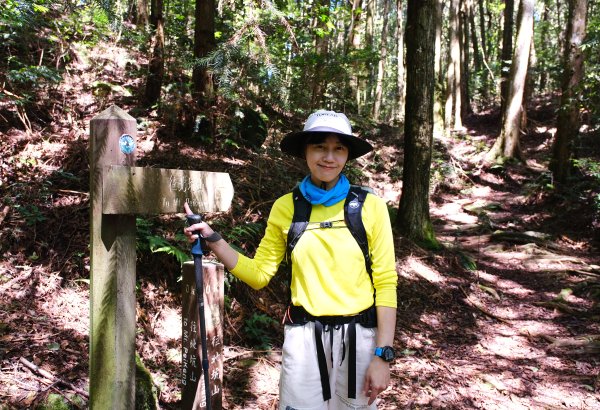 雪見大板根2924723