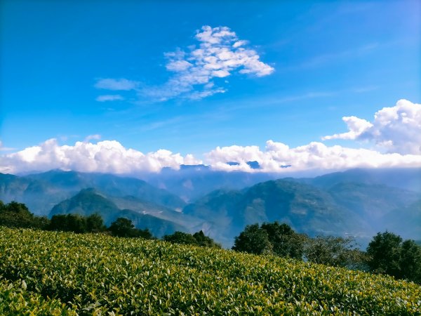 雲嘉連峰2365723