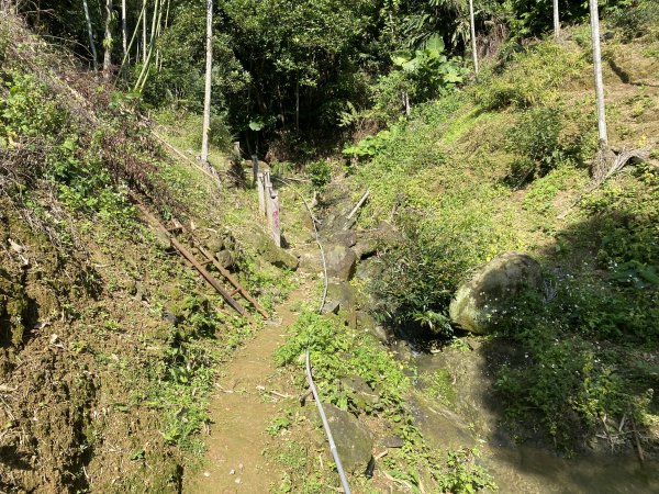 2025微笑山線大縱走尋寶集章任務-Ep.04【天上山系】望月亭桐花段｜石門內尖山東峰 ×石門內尖山2979174