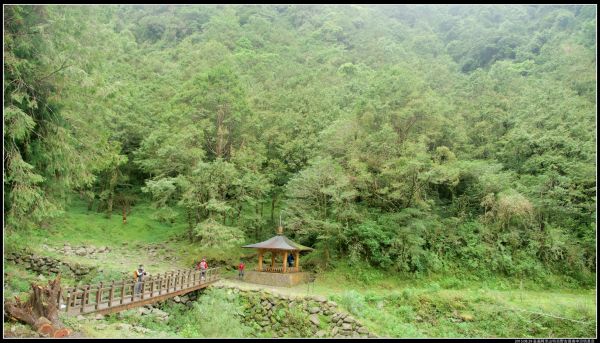 特富野古道278427