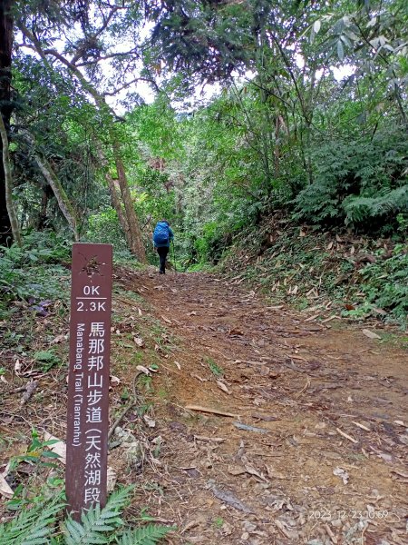 四訪苗栗的花果山-小百岳#037馬那邦山、雪霸國家公園管理處【小百岳集起來、苗栗-臺灣百大必訪步道】2394319