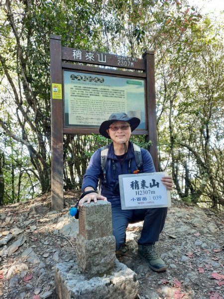 《台中》秋紅約定｜鳶嘴稍來山步道賞台灣紅榨槭202312092371331