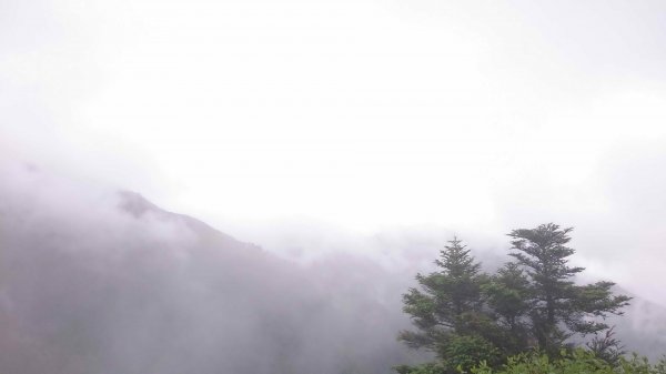 2017-07-03畢祿山439350