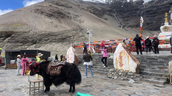 西藏♥️可愛動物🐎人物寫真/拉薩旅拍/美食2903009