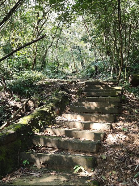 2026-0221造鎮-太極嶺-桐花公園-承天禪寺-永寧站3005804