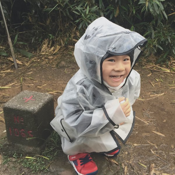 20200411-五分山步道914466