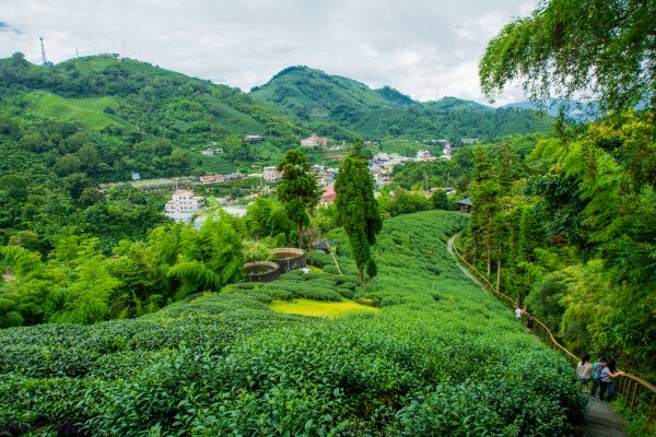 嘉義梅山大巃頂步道1335566