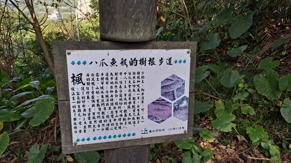 台北大縱走第一段1249084