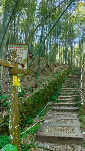 嘉南雲峰、石壁山861222