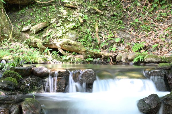 2025_0628 大羅蘭溪古圳步道(福山馬岸)2825218