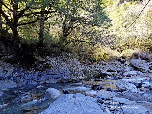 【南投】合歡溪步道：遠得要命的櫻花鉤吻鮭2912239