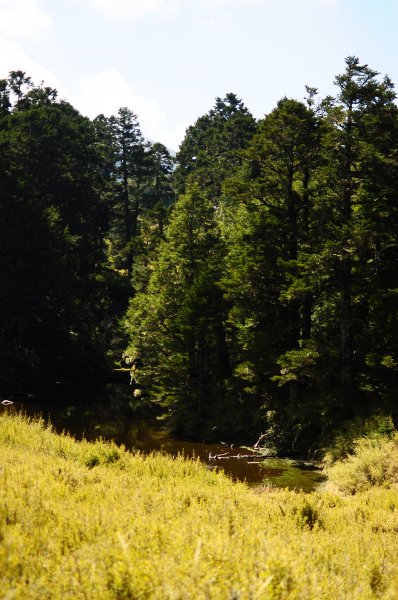 武法奈尾山天巒池872490