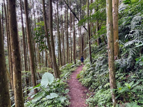 白蘭溪古道2846942