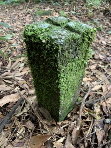 20251010高雄尾寮山-西北峰2913652