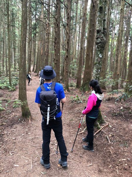 中級山-高島縱走2888443