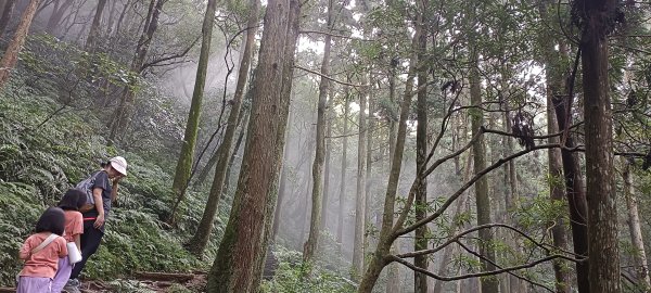 20240921_東眼山步道2637166