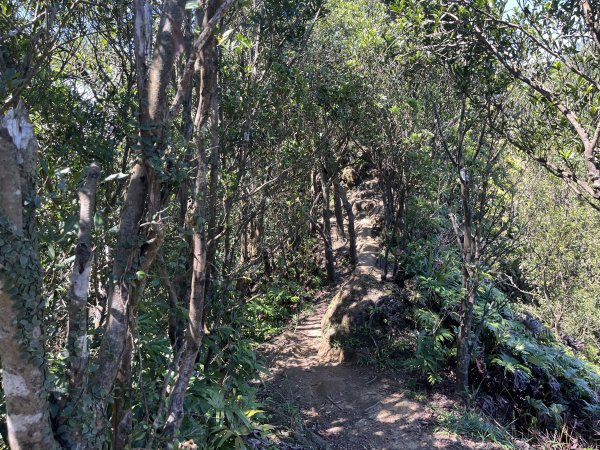 [微笑山線_第九段] 2025_0914 二格山系_天王峰2889548