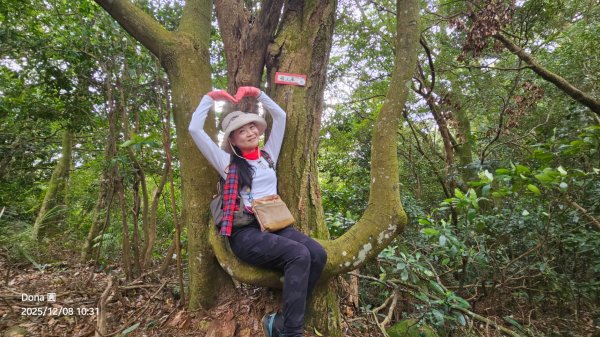 20251208雞寮坑山南稜線O走+鹿寮坑濕地賞景採果2969025