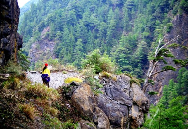 山風15度C吹拂 ~ 合歡溪 步道1551803