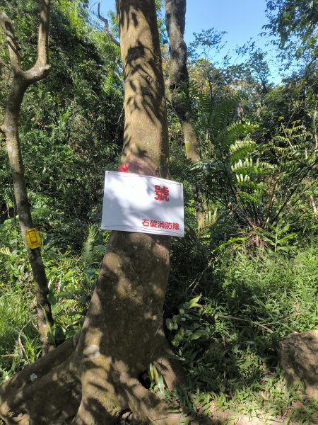 20251004微笑山線：【二格山系】筆架連峰段2904512