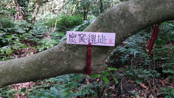 ✅糞箕湖古道回修擴徑.糞箕谷/串接完成 (溝渠遺址出土.糞箕湖雙線谷道貫通.全段新徑開通)2579820