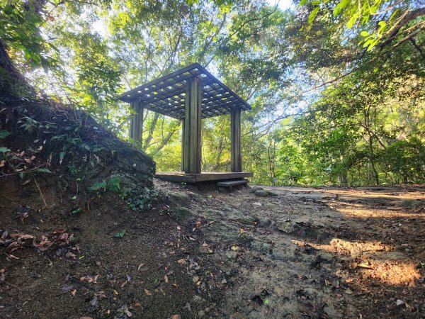 20240707馬胎古道2780988