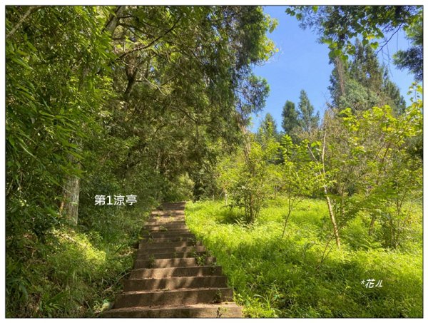 槌仔寮山、槌仔寮山西南峰、金龍山步道 連走2846698