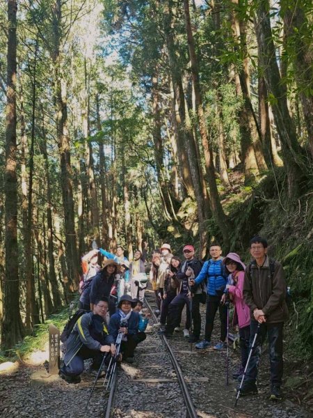 1141122特富野古道2945770