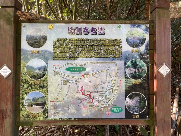 1141207金童山2957712