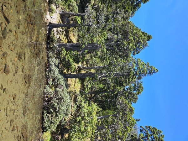 20240927 志雪劍2614920